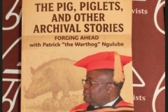 Book_by_Prof_Partick_Ngulube__